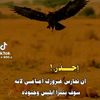user85230027348721