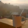 ariel.sarangaya