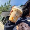 vlogsw.alyssa