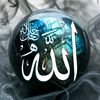 salmaan7936