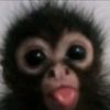 chu1yeos5dhe
