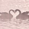 lov1essssssss