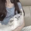 dody_f.15