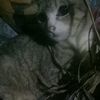 user42207410441445