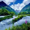 landscape437