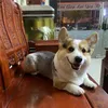 liendzang72