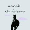 kabeer.khan.kabee64