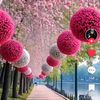 shakeel.phull11