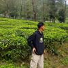 infinixxsmt.enam6