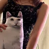 staska_lik