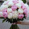 maryan.ali325