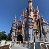 Disney world