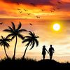 vinu8541