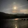 vnngn06