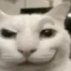 gyat0771