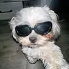 james.mangurdia