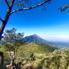 at_gibran