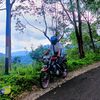 diki.wahyudin157
