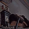 tamim.mohammadi19