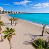 alicante883