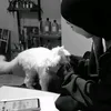 o__1yi