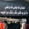 roman.gul1