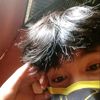 farel23474