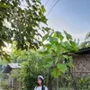 zaleha5245