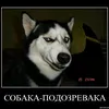 loymakomnatnaya