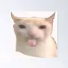 ngctanhhunh