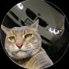 user9813400292614