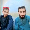 user525033461