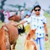 monir.hassan323