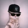 raka.aj24