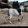 rubenlozanolozano8