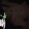 mlozx_xx8