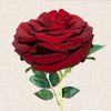 user3155981016158