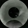 nguynmnh5014