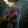 cooper.essaowner