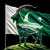 pmlnarmyahmed