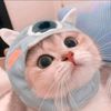 Pets.VN