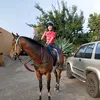 juan_14314