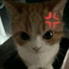jame11563