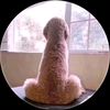tojseaphon