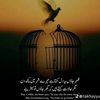 maliktabish536