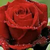 user3269016571040