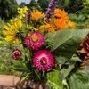 la.flora01