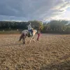 lorri.equestrian