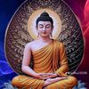 u.wai461