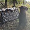 hunting.kayden